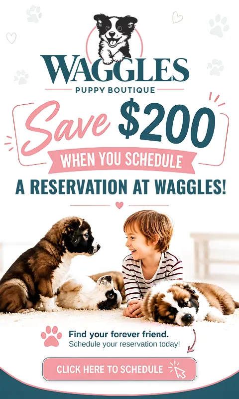 Save $200 when booking a reservation with a puppy!